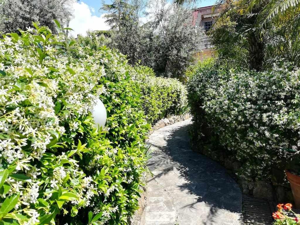 Appartamento CASA DINKY Attico climatizzato con terrazza vista mare Formia Esterno foto